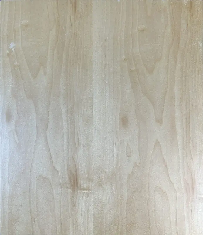 Light natural wood slab cabinet door