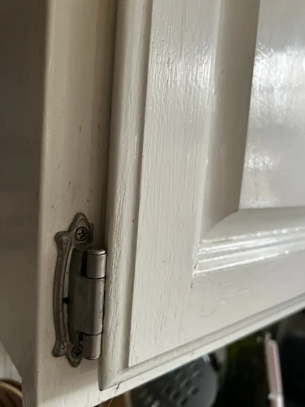 Exposed decorative cabinet hinges on painted cabinet doors